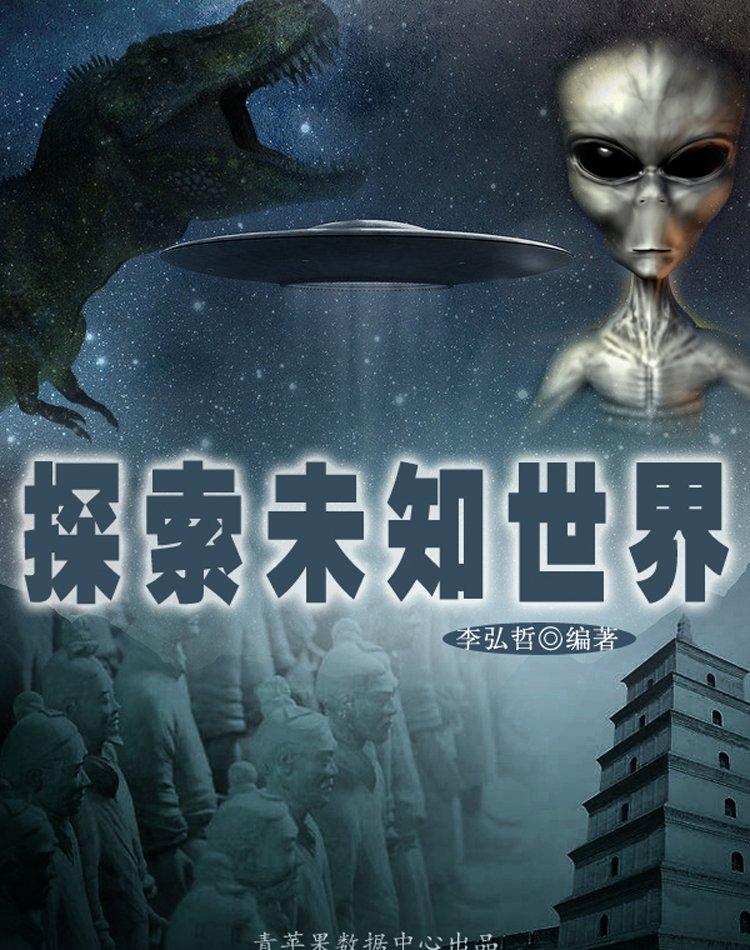孤独旅行者的虚拟世界