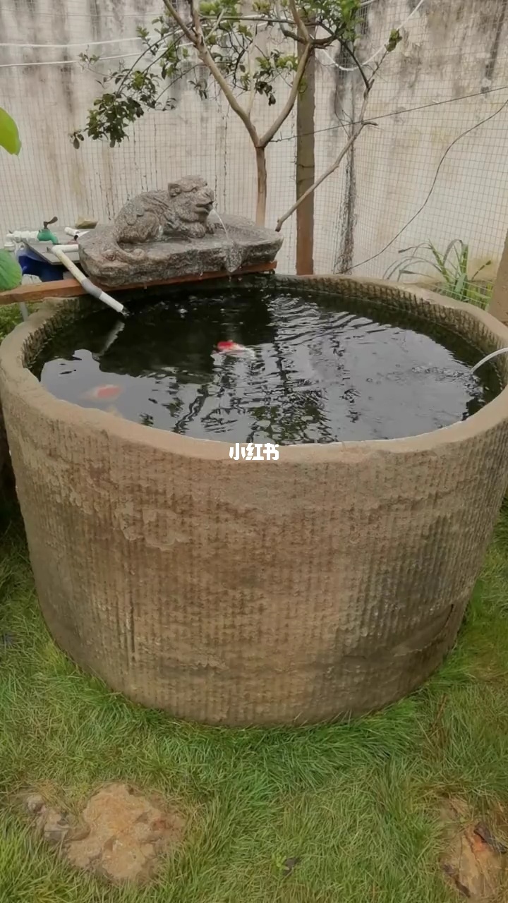 盖石头房子用什么固定_盖石头房子养鱼种果树的游戏_猴子种果树