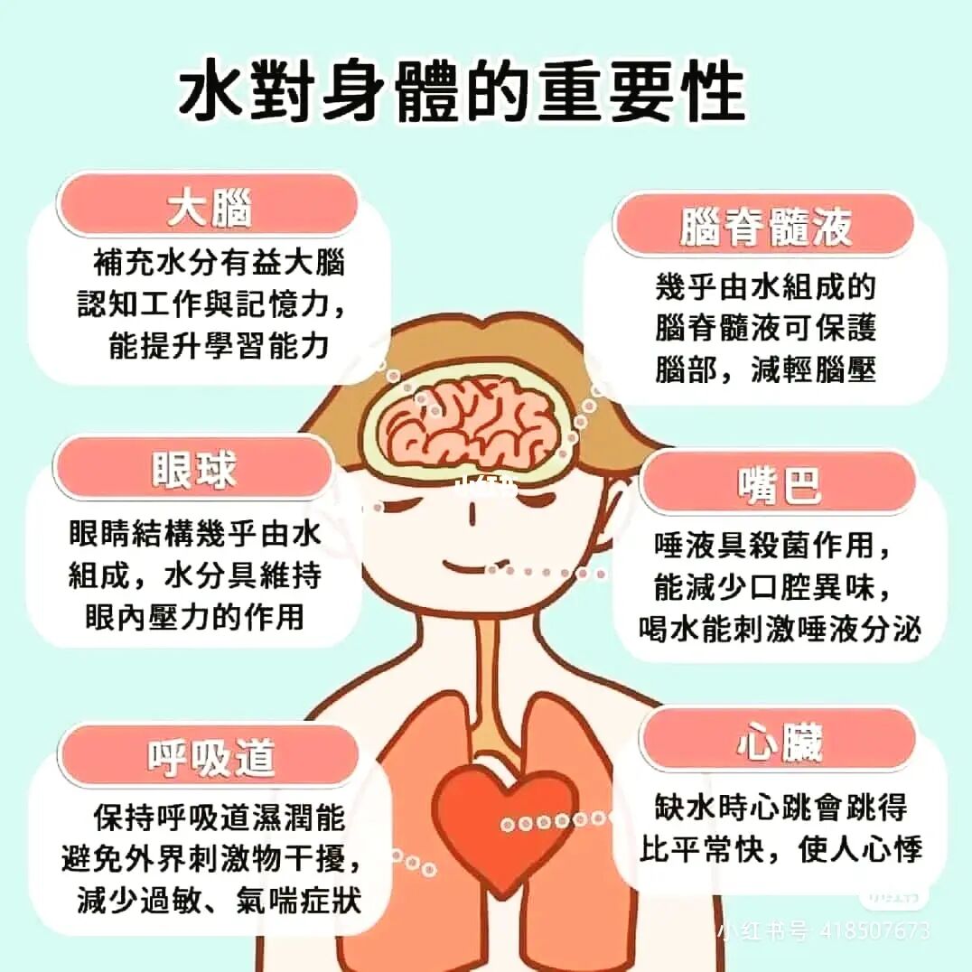 最强大脑水哥：超凡记忆力秒杀难题！