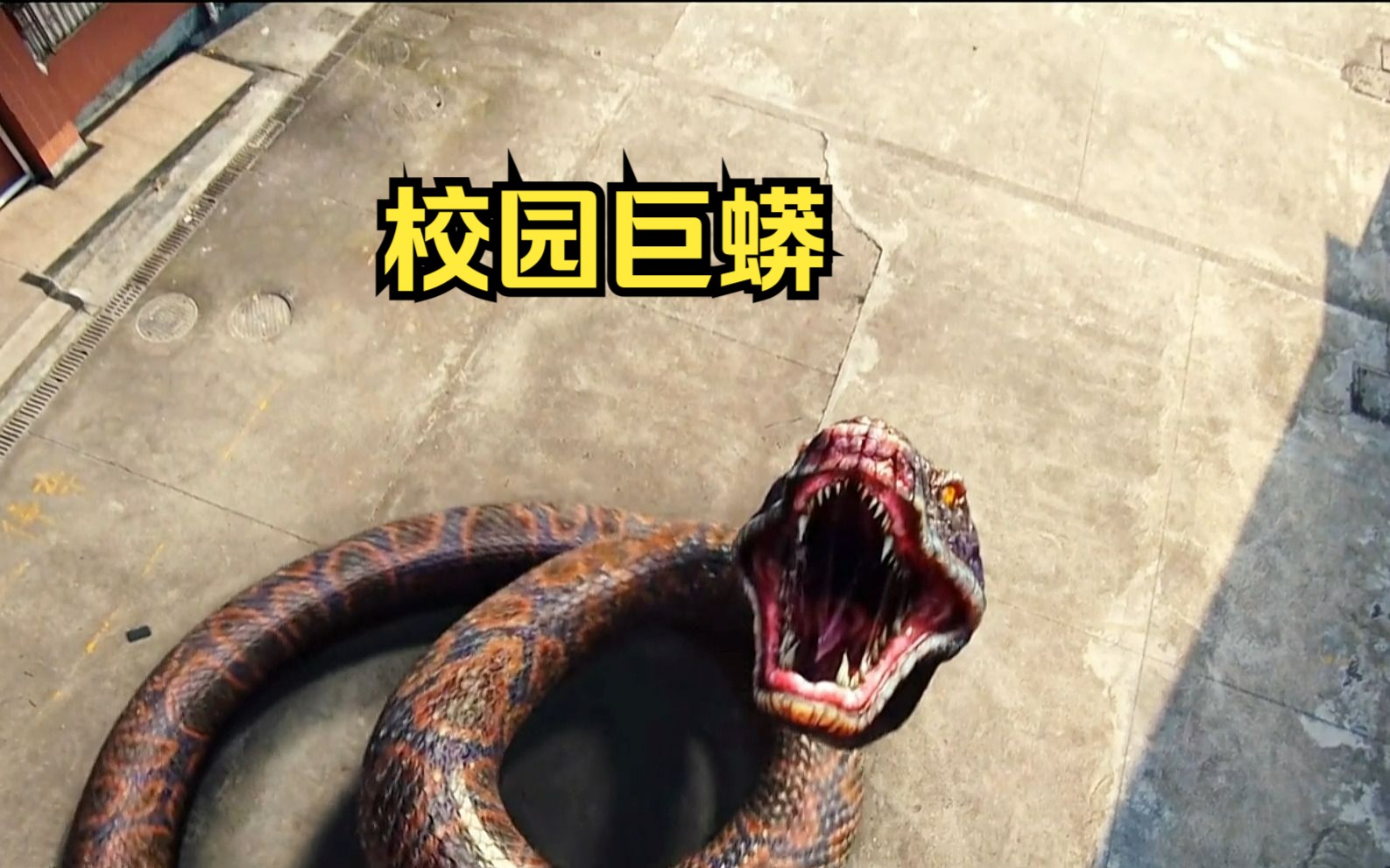正当防卫四：我是达人