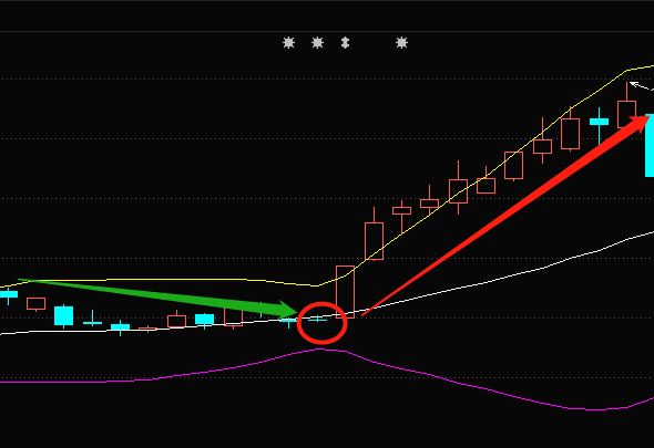 红布林指标：投资神器