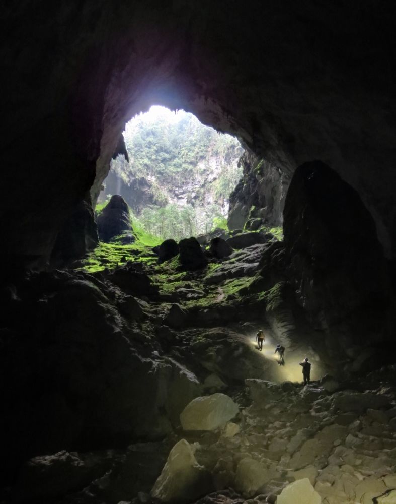 神秘森林中的魔法洞穴2，探秘茂密树林中的惊喜