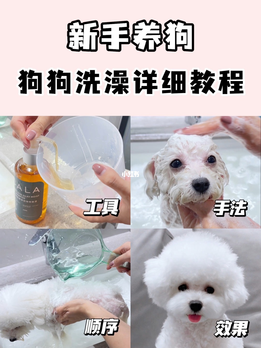 宠物洗澡换装，让你的宠物焕然一新
