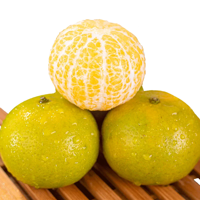 柑果球：水果界的魔幻之球
