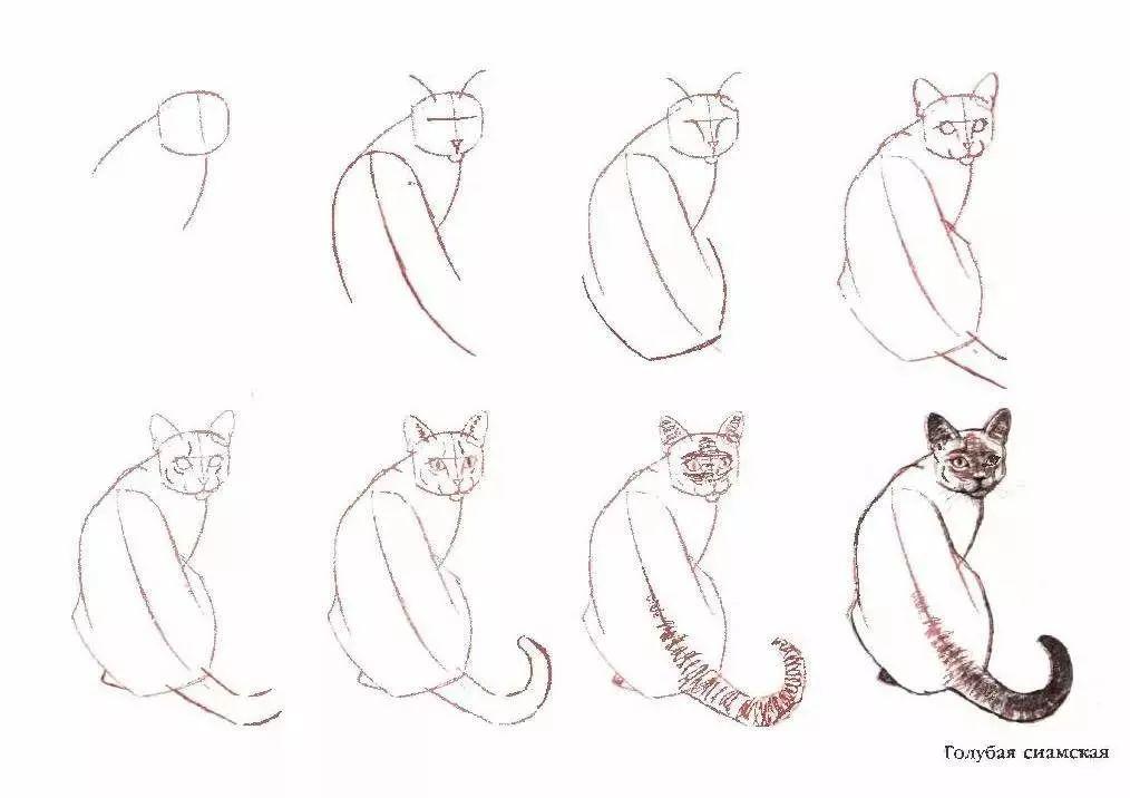 一笔画猫_笔画猫的简笔画_卡通简笔画猫