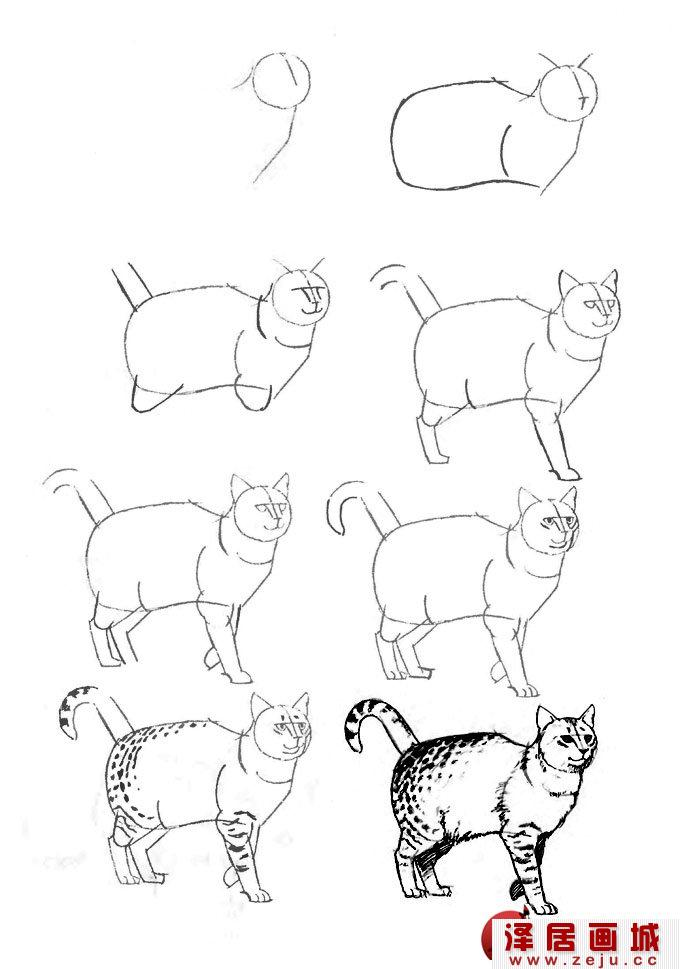 笔画猫的简笔画_一笔画猫_卡通简笔画猫
