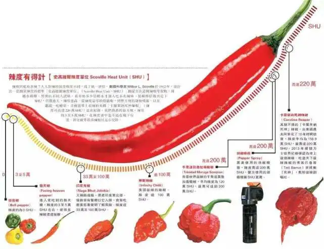 致命武器小说_致命武器李连杰电影_非致命武器