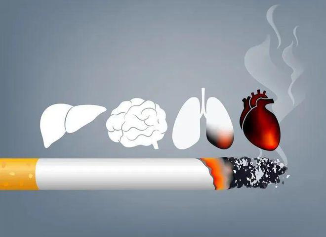 戒烟新法！今日抽烟后果惊人，呼吸系统疾病扑面而来