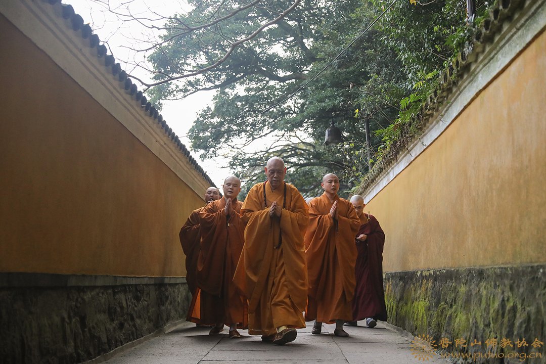 梦幻西游普陀山带什么套装好_梦幻西游普陀山_梦幻西游普陀山技能介绍