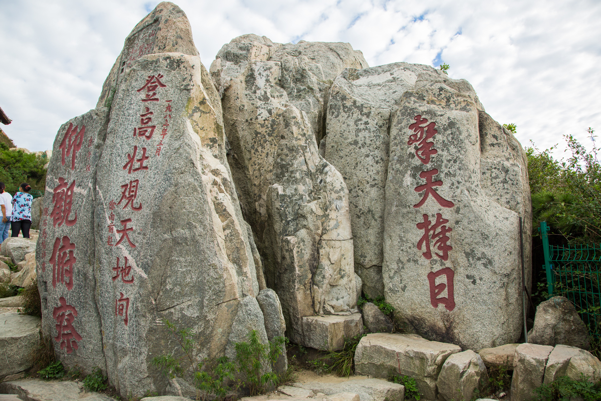 泰山小说APP为什么找不到了_泰山小说_泰山小说浏览器