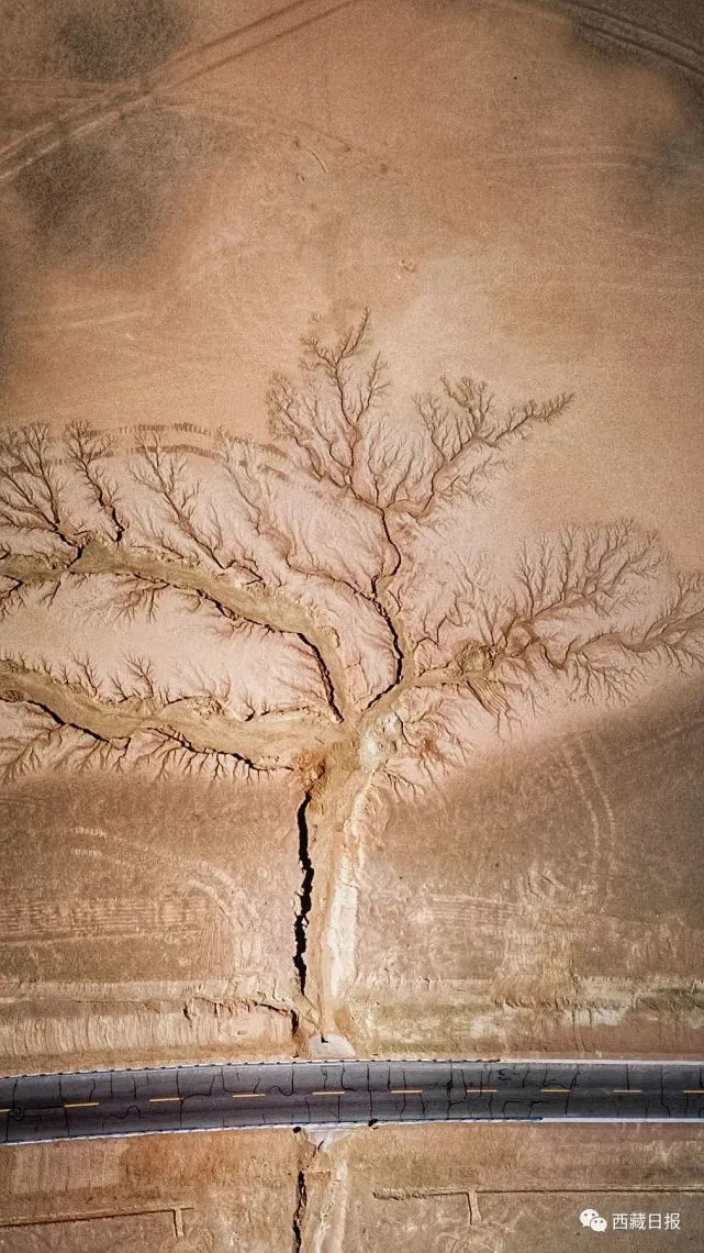 失落季节游戏_失落季节知乎_失落的季节