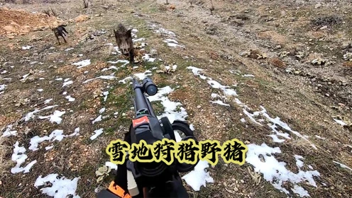 雪地狩猎电影_雪地狩猎野鸡_手机雪地狩猎游戏下载