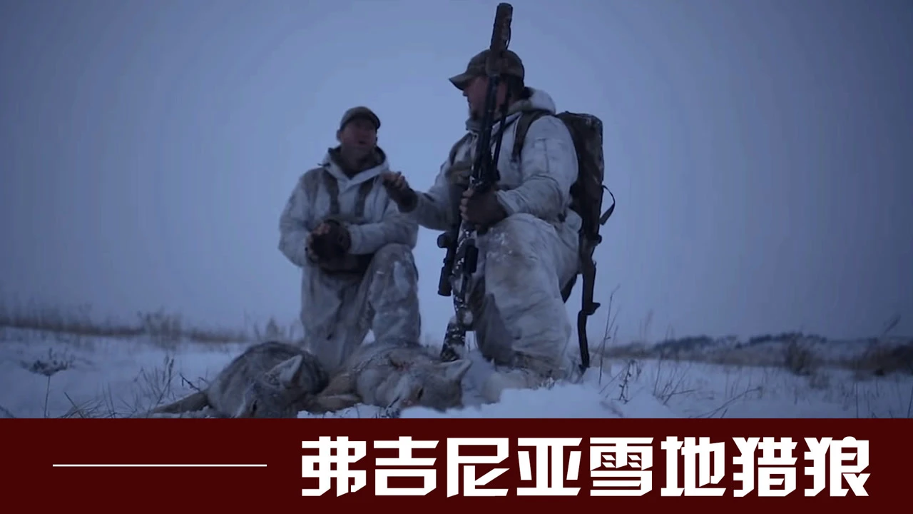 雪地狩猎电影_雪地狩猎野鸡_手机雪地狩猎游戏下载