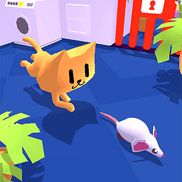 抓猫游戏网页版_抓猫猫的游戏_手机上猫能抓的游戏