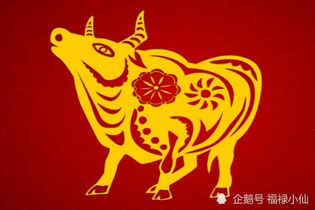 生肖属兔几月出生最好_1985属什么生肖_生肖属蛇的最佳配偶