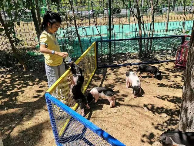 农场昵称_手机农场名字游戏_好玩的农场名字