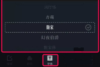 手机游戏图片怎么加字幕_字幕图片加手机游戏的软件_字幕图片加手机游戏怎么弄
