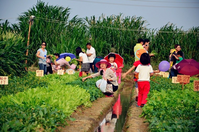 手机上有什么种地游戏名_种地的手游游戏有哪些_种地游戏id
