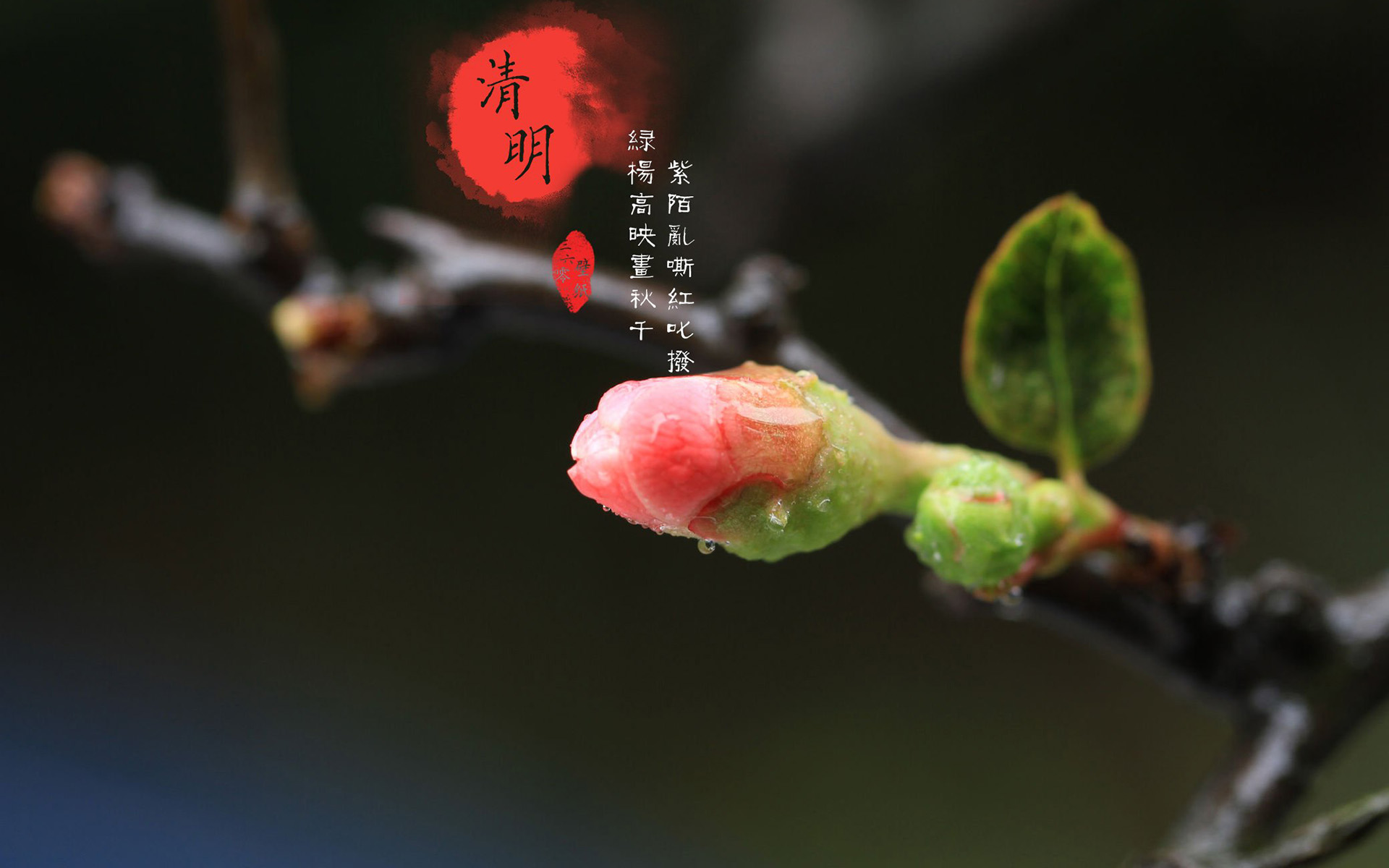 法定节假日日历-传统与现代的融合，探寻中国特色法定节假日