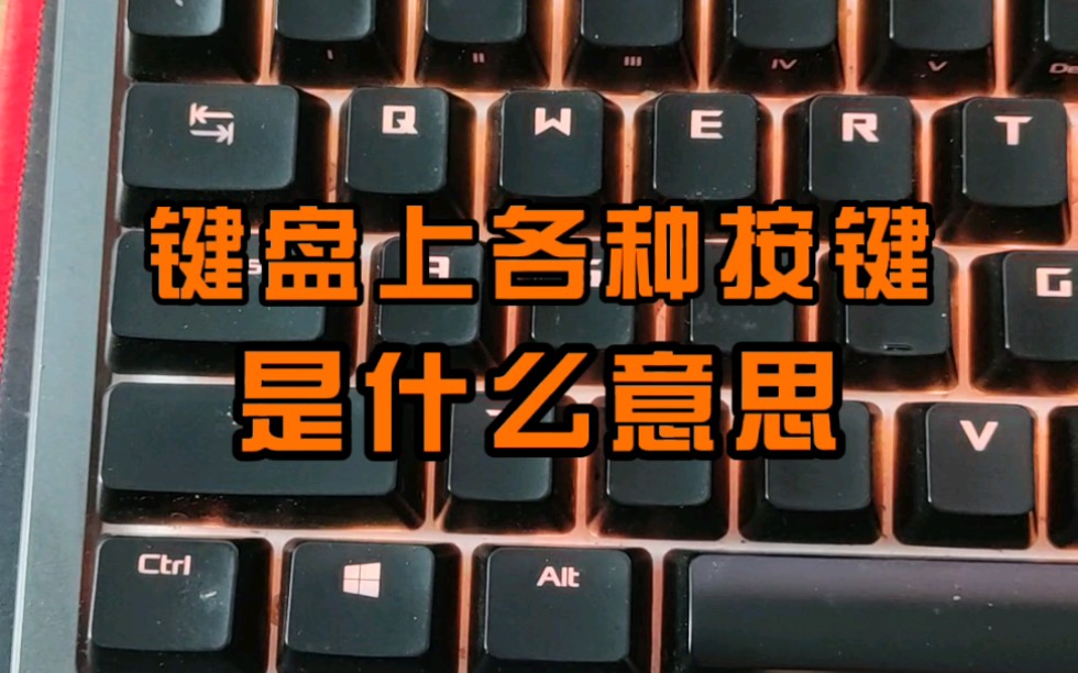 养成键盘手机游戏软件_养成键盘手机游戏有哪些_手机养成游戏键盘