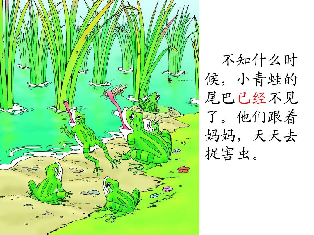 蝌蚪app_蝌蚪app_蝌蚪app