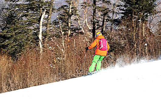 手机游戏逼真滑雪_好玩的滑雪手机游戏_滑雪安卓游戏