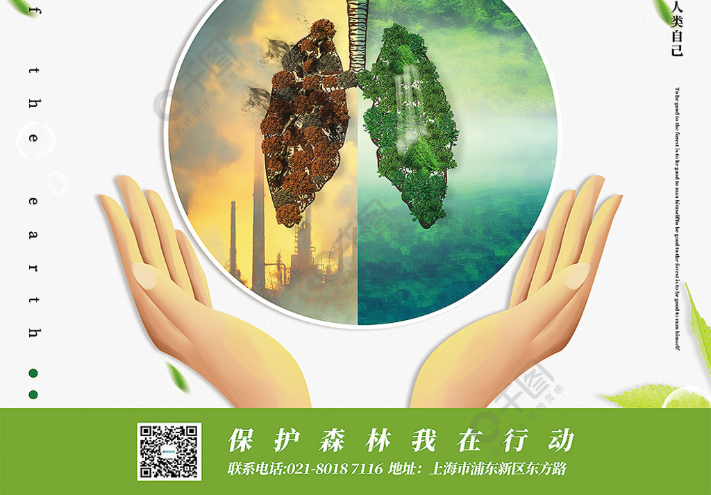森林地球之肺阅读理解答案_森林地球之肺_森林是地球之肺