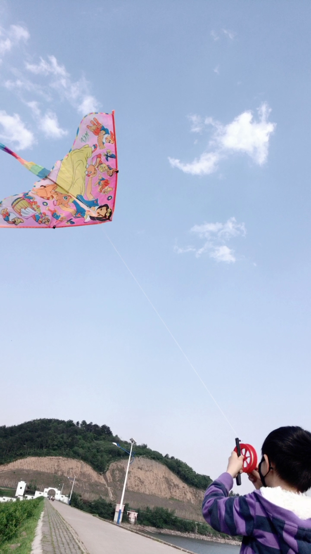 掌控自然之风：手机游戏风筝，释放心灵的奇妙修行体验