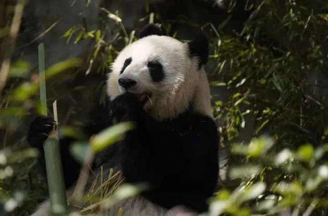 快乐大本营小游戏应用_快了大本营游戏大全_手机小游戏快乐大本营下载