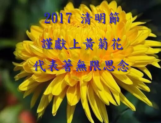 清明的寓意简写_清明节的寓意和象征简短_清明节寓意