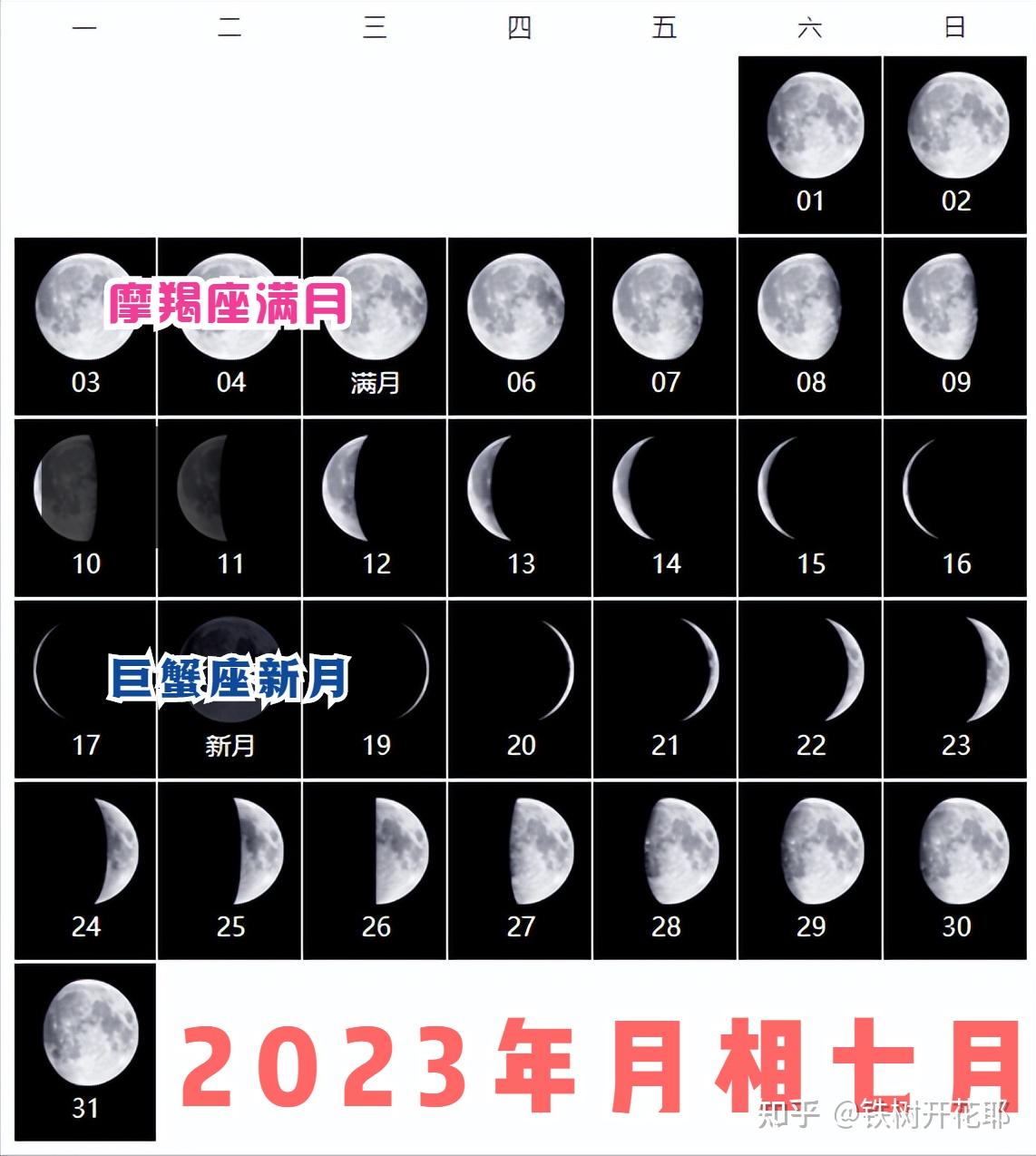 2023年6月20日-2023 年 6 月 20 日，我在夏