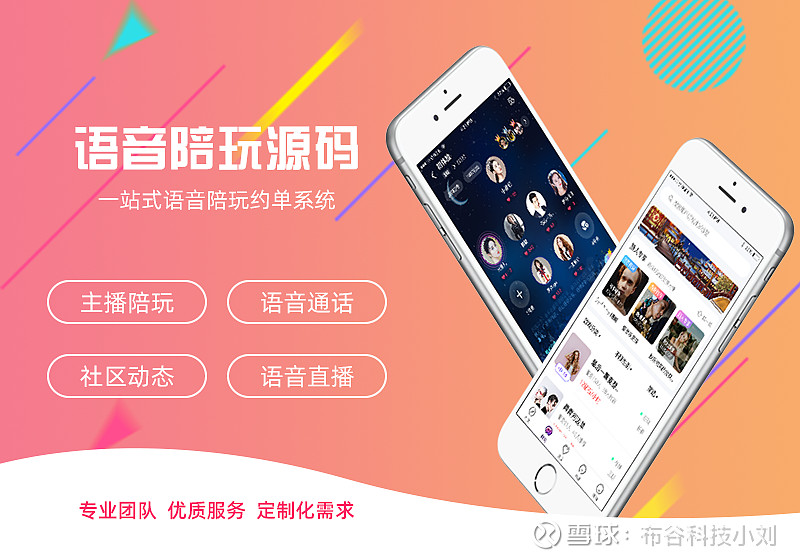 探索手机游戏陪玩接单平台源码：技术与情感的交融之旅
