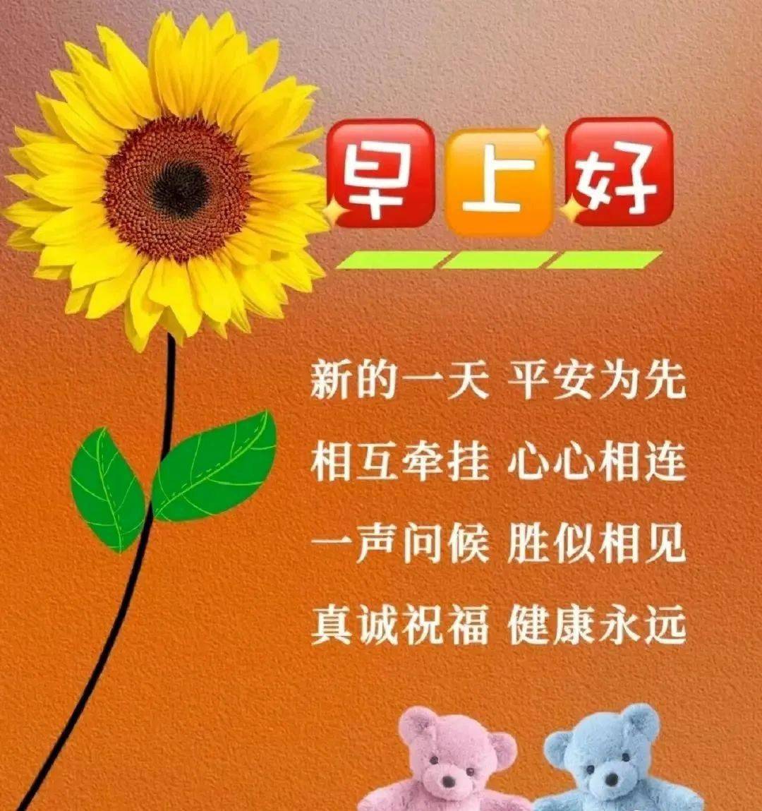 白银诺艾尔：在喧嚣世界中寻找内心的平静与美好