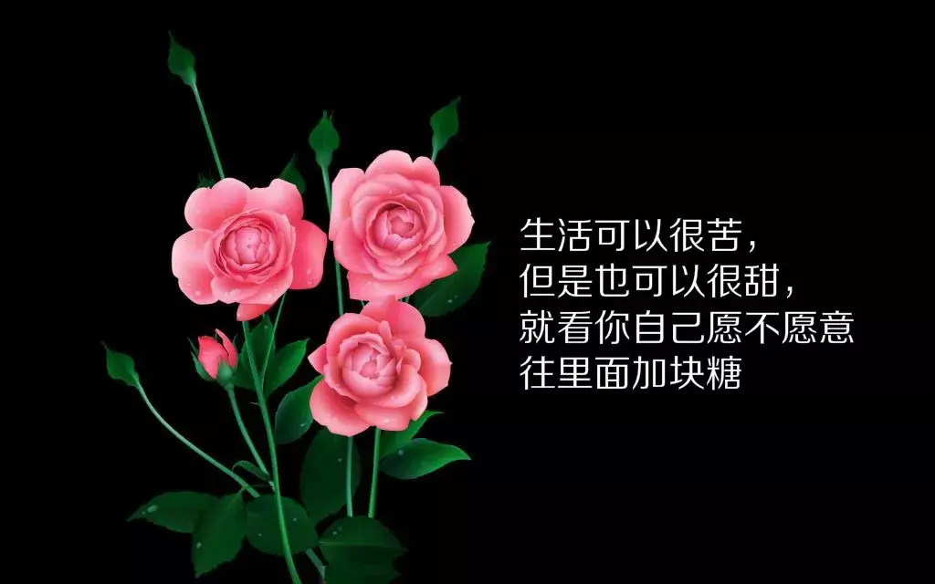 阿部美佳子_美嘉和子乔结婚了吗_美嘉和子乔以前的故事