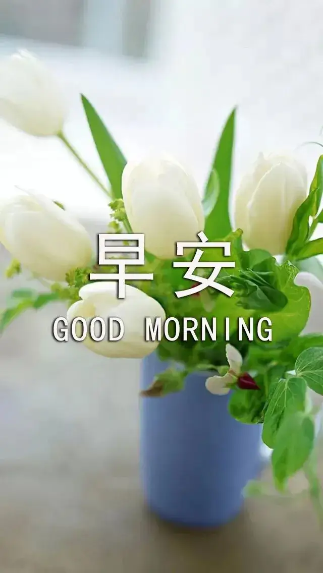 手机退游戏-从沉迷到觉醒：放下手机游戏，找回生活的轻松与真实