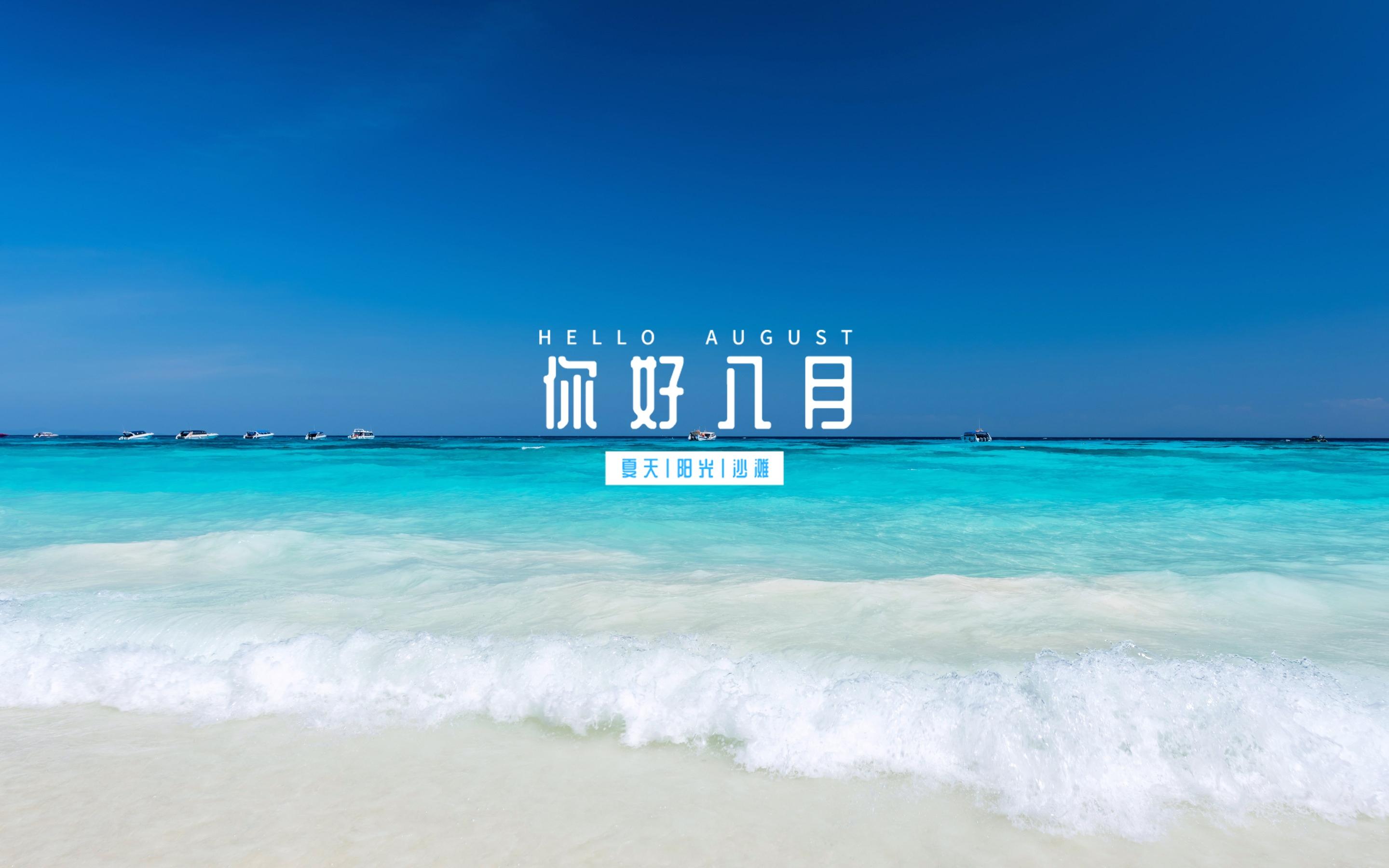 八月情迷_八月情迷肖恩人物原型是谁_八月情迷主题曲