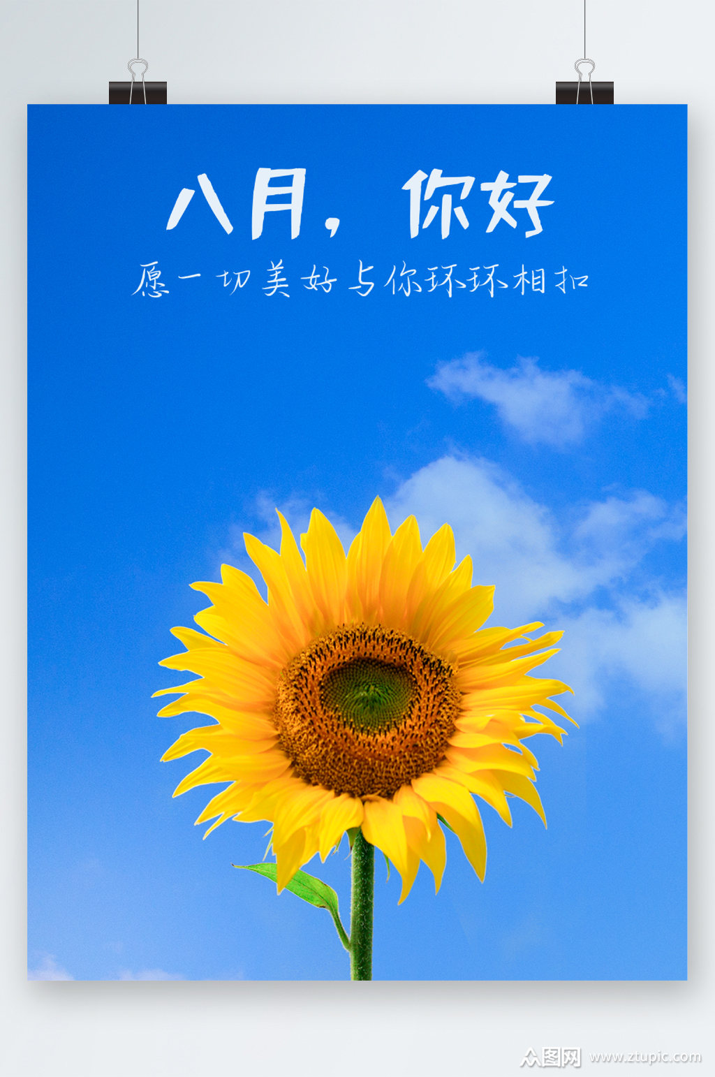 八月情迷肖恩人物原型是谁_八月情迷_八月情迷主题曲