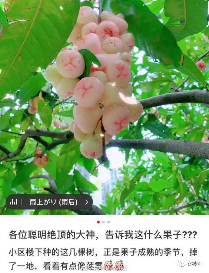 百度会议_百度会议app_百度会议app下载