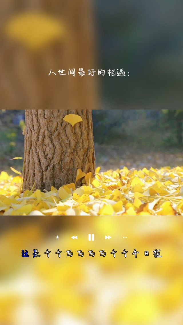 音浪黄立行_音浪黄立行_音浪