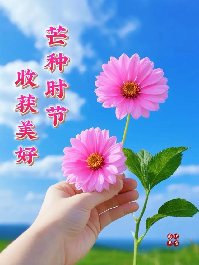 谷雨插秧_谷雨插秧简笔画_谷雨插秧的诗