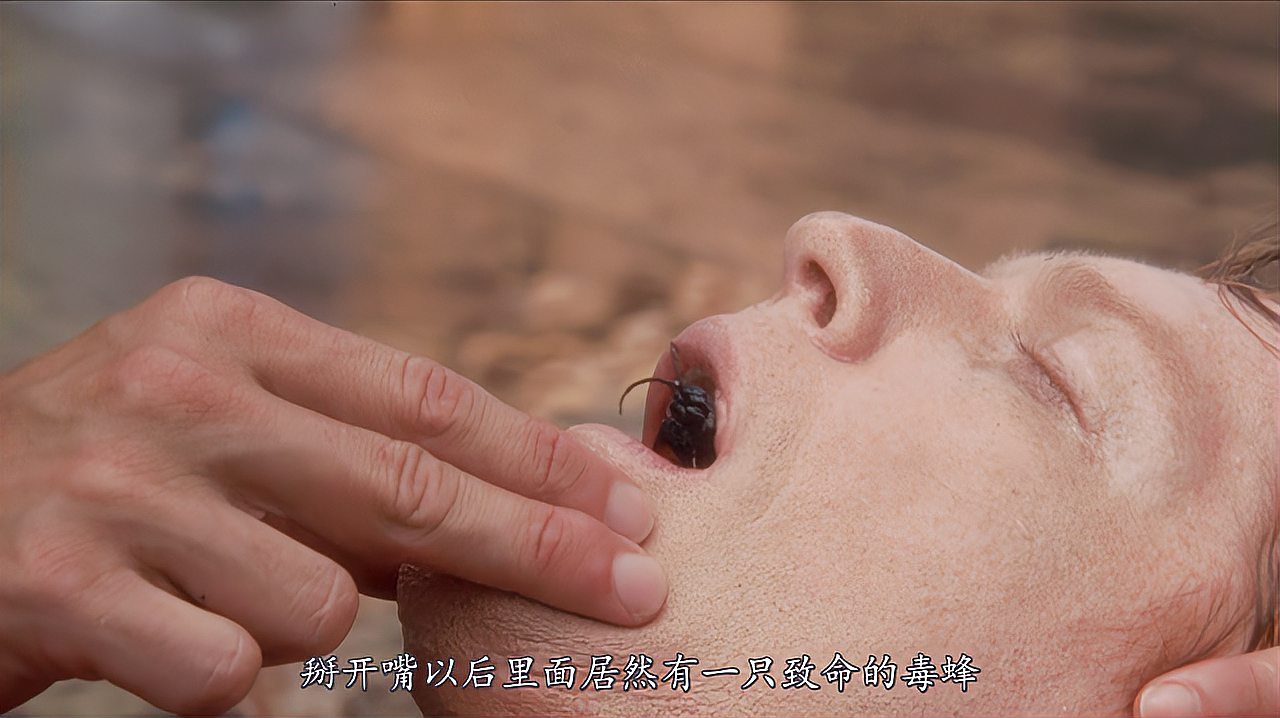 寒战电影在线观看_极度深寒未删减完整版在线观看_寒战完整版在线观看