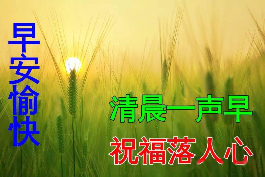 2月20-二月二十日，风的味道与特别的一天