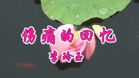 小见川千明退出声优界_小见川千明_明川是谁