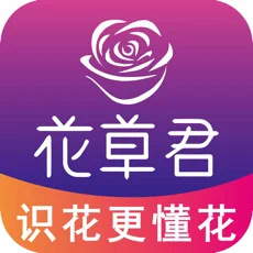 识花君准不准_识花君扫一扫_识花君扫一扫识别植物玉兰花