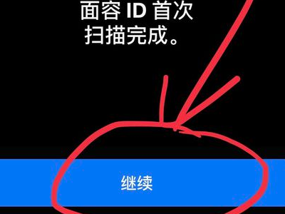 苹果面容id可以使用照片么_面容id只能用一个人的吗_苹果手机面容id不可用怎么办