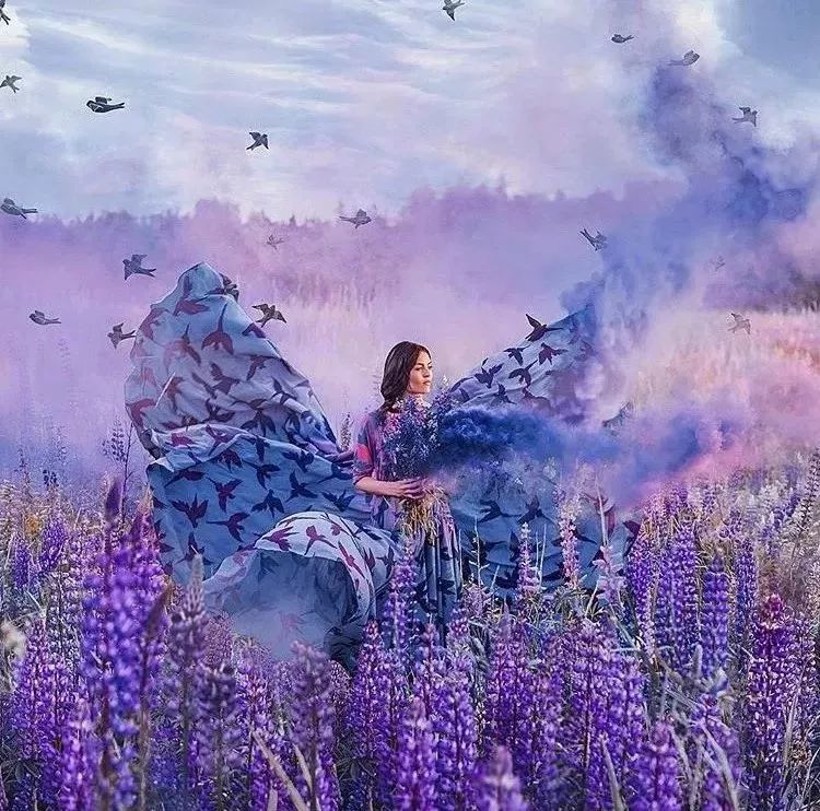 摄影部_摄影部的故事动画视频_摄影部的故事