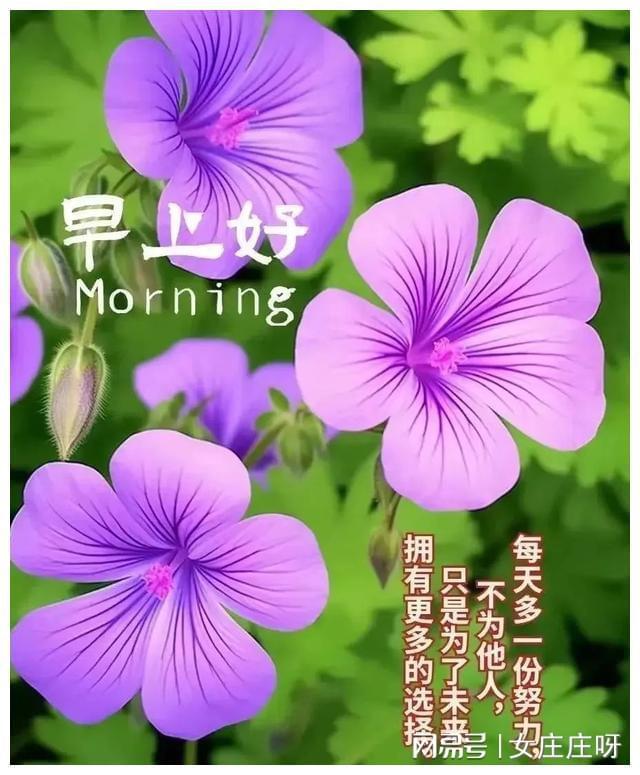 晨曦时梦见兮-晨曦中，梦中的相遇与温暖：探索美好生活的向往