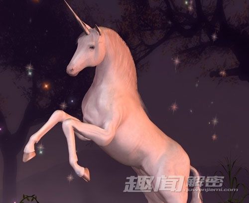 洛克王国独角兽_洛克王国独角兽幼果怎么用_洛克王国独角兽在哪里