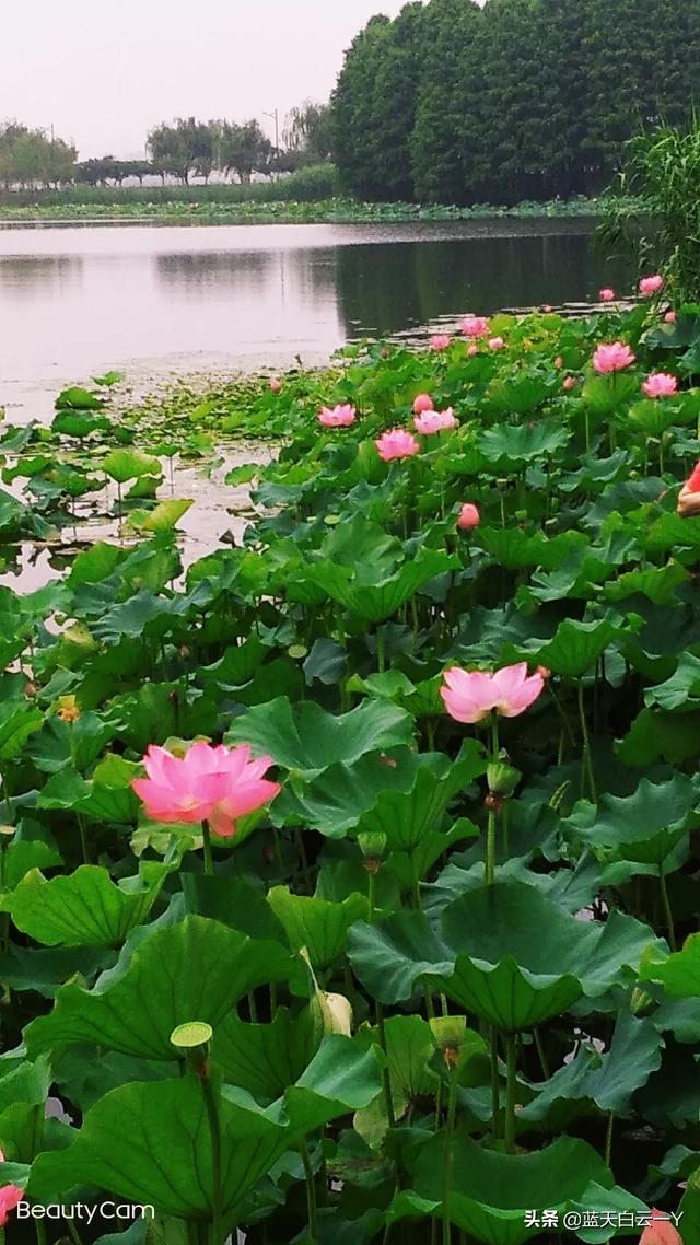 头条卡玩手机游戏有影响吗_头条玩游戏也要实名认证_手机玩头条游戏卡