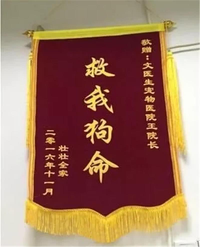 王七_王亚飞王京京_王楚钦